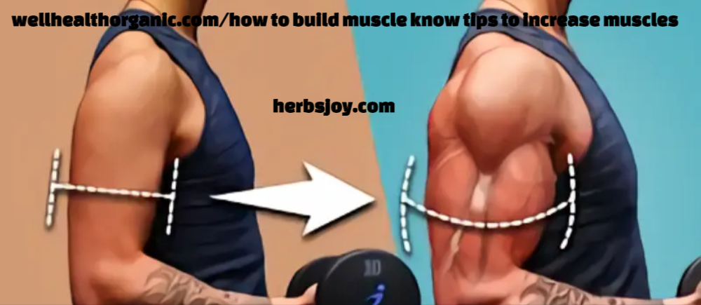 wellhealthorganic.com/how to build muscle know tips to increase muscles