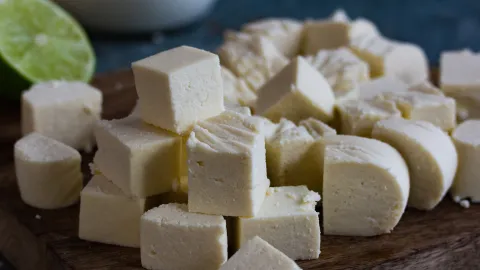 Homemade Paneer