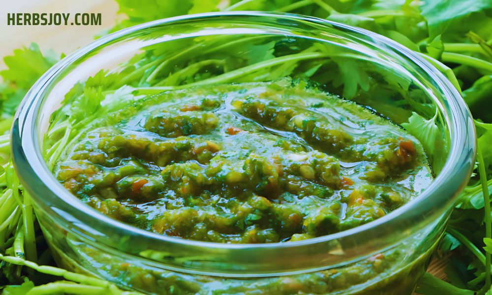 Green Chutney Recipe