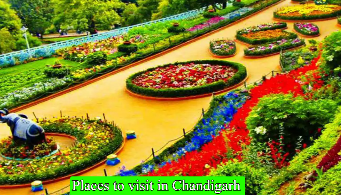 Places to visit in Chandigarh