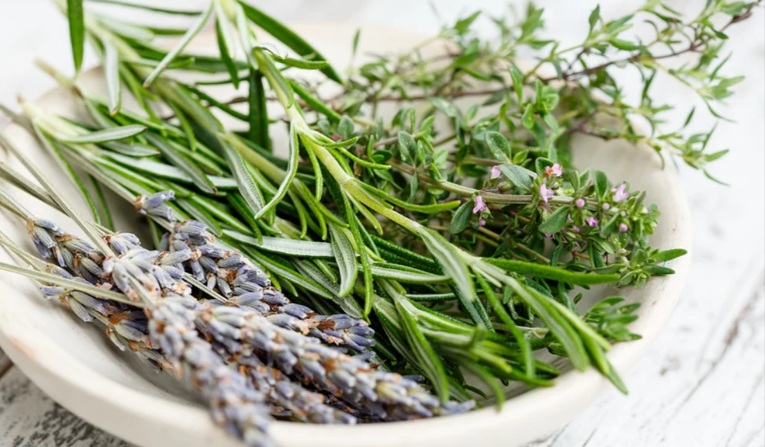 The 5 Herbs Every Home Needs